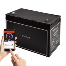 12V 80Ah LiFePO4 Akku BMS +