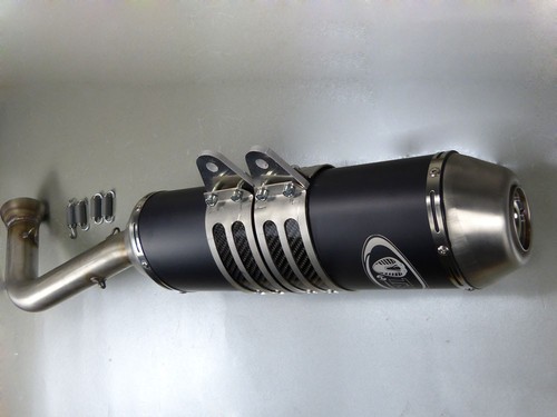 Auspuff yamaha grizzly yfm - auspuff, 550