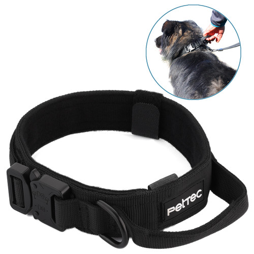 Pettec hundehalsband aus - hundehalsband,