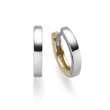 Ohrringe Creolen 2x10mm