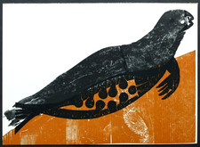 Hap grieshaber robbe - grieshaber, "