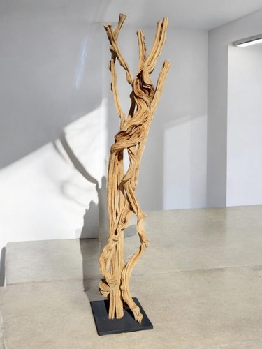 Lianen holz skulptur - holz,