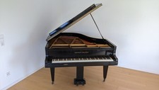 Grotrian Steinweg Flügel 29882 (1912), sehr guter Zustand, nur Lackierungsbedarf