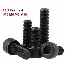 M5-M10 Zylinderschrauben