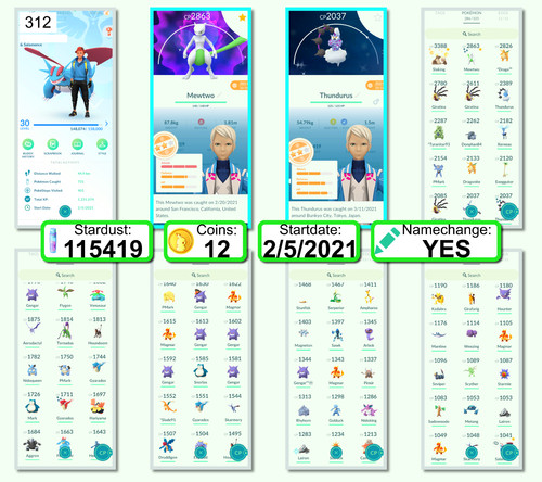 Pokémon acc lvl 30 - acc, go