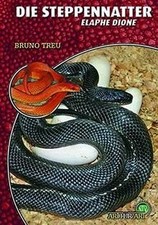 Die Steppennatter: Elaphe
