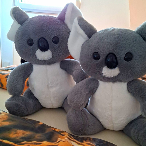 Koala stofftier plüschtier - koala,