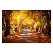 Postereck 2556 Poster Leinwand Herbst Allee, Park Weg Landschaft Natur Baum