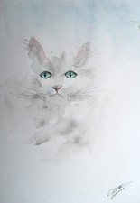 original aquarell  katze