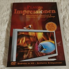 Plasma Impressionen Kaminfeuer