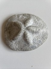 Clypeaster scillae, Echinoidea, Seeigel, Miozän, Steiermark, Retznei, Österreich