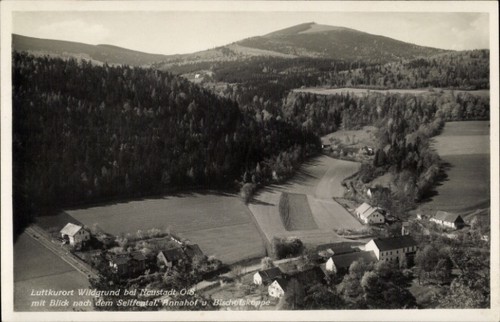 Pokrzywna wildgrund - pokrzywna,