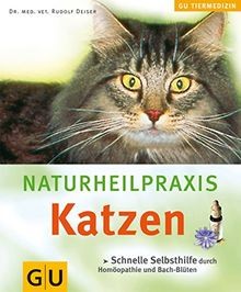 Naturheilpraxis katzen - naturheilpraxis,