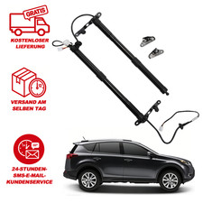 Paar Toyota Rav 4 IV