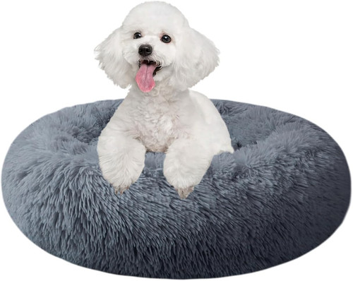 Hundebett für kleine - für,