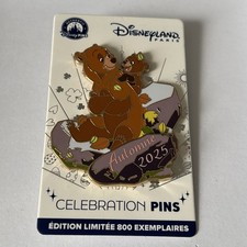 Disney DLP Bruder Bär Pin