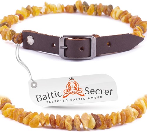 Bernsteinkette hund - bernsteinkette, |