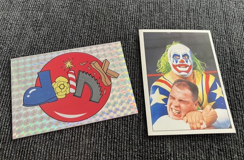Wwf panini 1995 doink the - wwf,