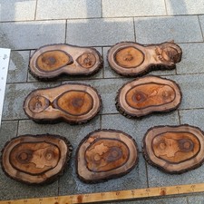 XL gestockte Nussbaum