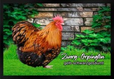 Fußmatte Hühner Zwerg Orpington gelb-schwarzgesäumt F1295