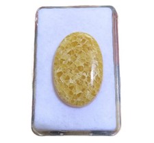 Petoskey Stein - Fossile