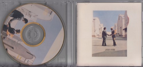 Pink floyd wish you - pink, here