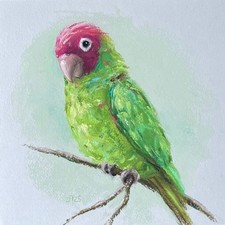 Papagei Original Pastell