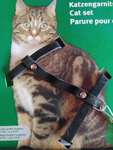 Katzengarnitur leder leine - katzengarnitur,leder,leine, &