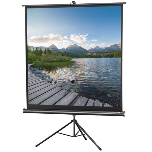 Celexon stativleinwand 244x244 - stativleinwand,