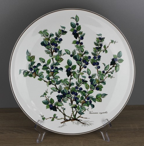 Villeroy boch b - villeroy, botanica