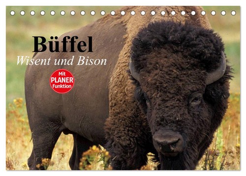 Büffel wisent und - büffel., bison
