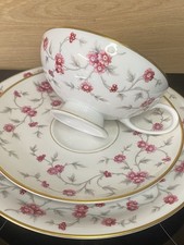 Rosenthal Dekor Helena Kaffeetasse mit Untertasse +Kuchenteller 3 Teile Top