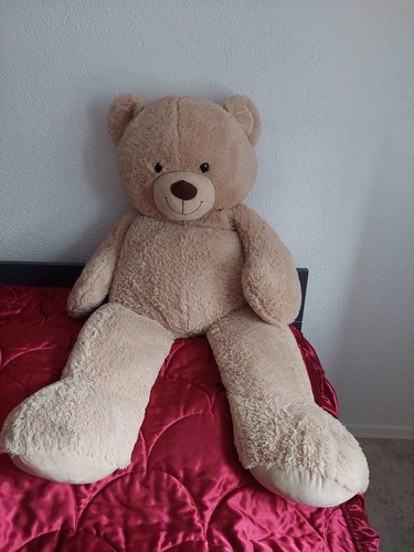 Kuscheltiere bär xxl - bär, xxl/