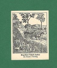 8/632 SAMMELBILD GESCHICHTE DES TABAKS REGULÄRER TABAK ANBAU NEUE ART STEUERN