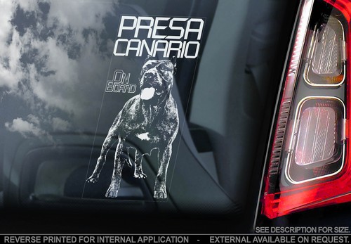 Presa canario hunde - -, auto