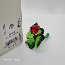 SWAROVSKI Marienkäfer und