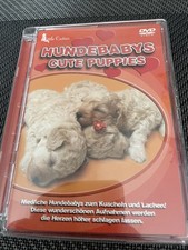Little Cuties - Hundebabys von not specified | DVD | Zustand sehr gut
