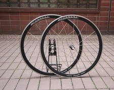 Campagnolo shamal black 9 10 - campagnolo, /