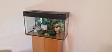 Aquarium 80x30x40 cm ca. 96 Liter + Zubehör