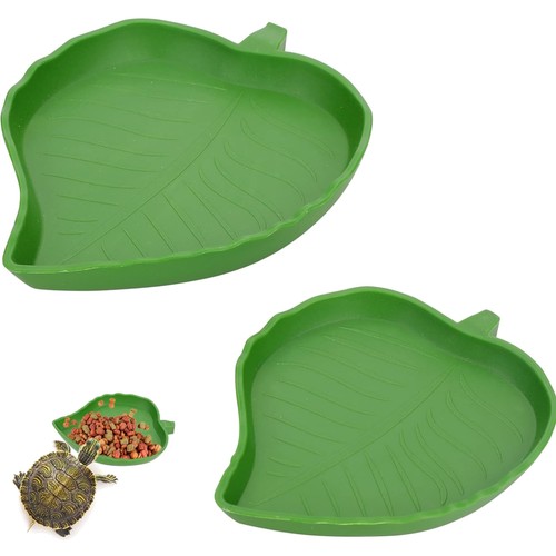 Reptilien futternapf wasser - reptilien,