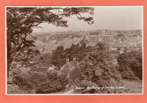Sherborne from the - , slopes