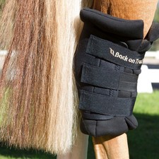 Back on Track Royal Hock Boot