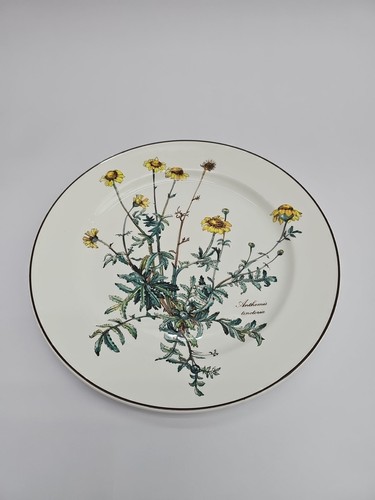 Villeroy boch botanica - &,