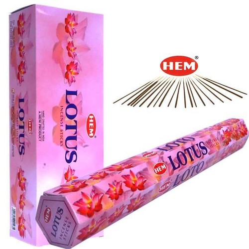 Lotus von hem big pack - hem, 6x