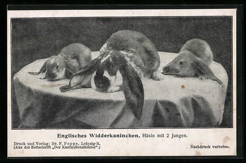 Ansichtskarte englisches - ansichtskarte,