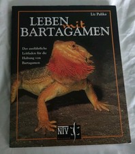 Leben mit Bartagamen