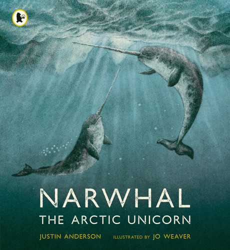 Narwhal the arctic - narwhal,