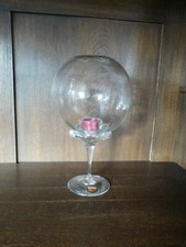 #1 Lichttulpe 26cm Windlicht von Thomas by Rosenthal