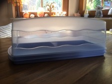 Tupperware Junge Welle Kastenkuchen Behälter, hellblau / transparent
