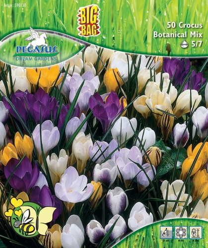 Pegasus bigbag botanische - bigbag,